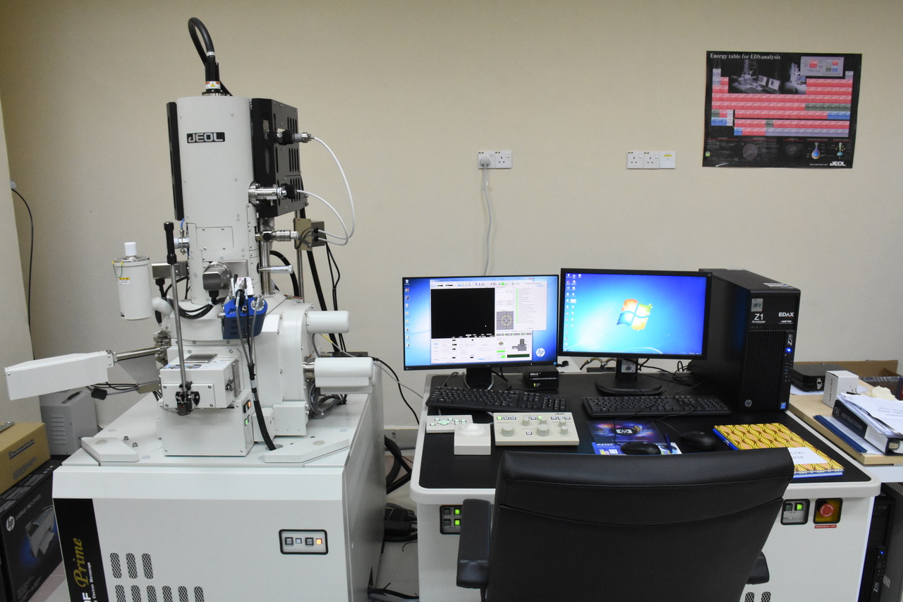 FESEM with EDS (Field Emission Scanning Electron Microscopy)